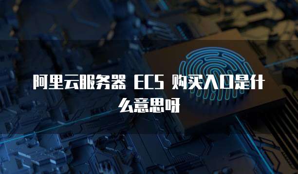 阿里云服务器 ECS 购买入口是什么意思呀