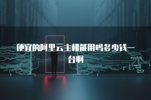 便宜的阿里云主机能用吗多少钱一台啊