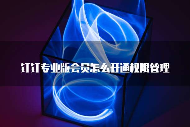 钉钉专业版会员怎么开通权限管理