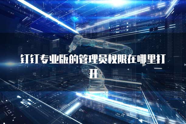 钉钉专业版的管理员权限在哪里打开