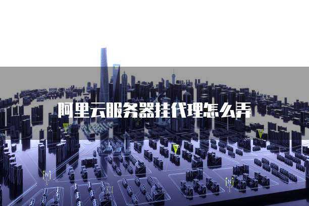 阿里云服务器挂代理怎么弄