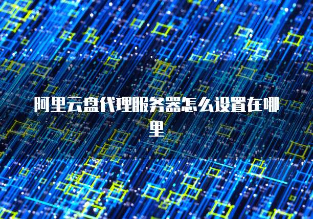 阿里云盘代理服务器怎么设置在哪里