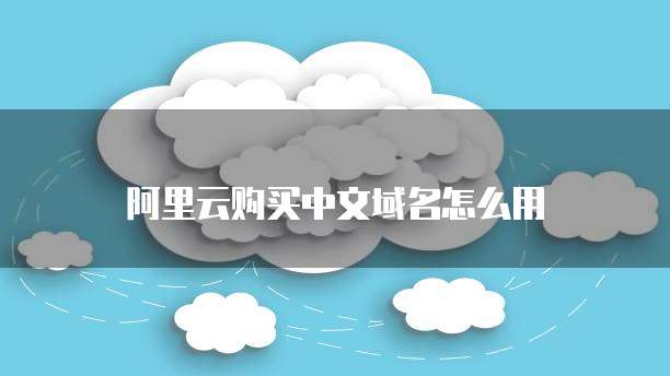 阿里云购买中文域名怎么用