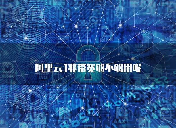 阿里云1兆带宽够不够用呢