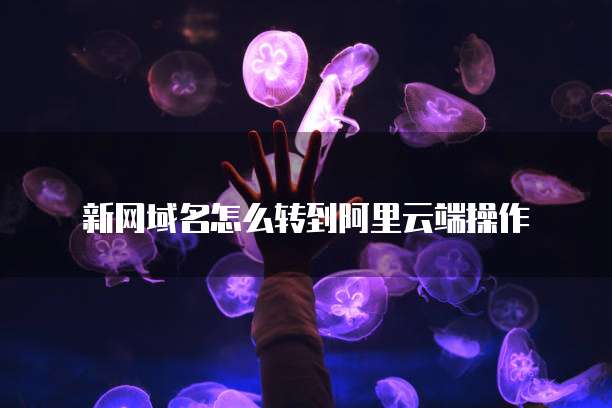 新网域名怎么转到阿里云端操作