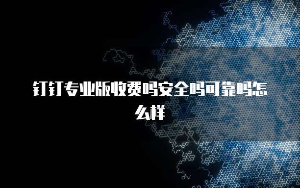 钉钉专业版收费吗安全吗可靠吗怎么样