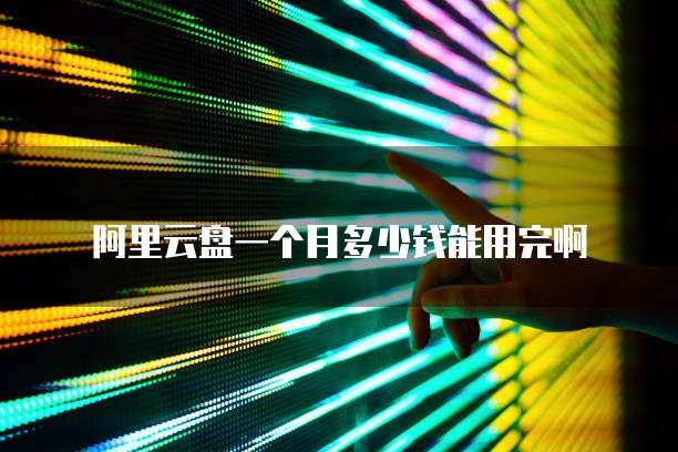阿里云盘一个月多少钱能用完啊