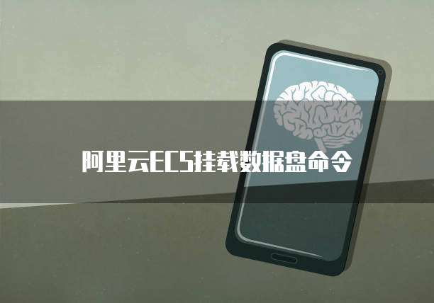 阿里云ECS挂载数据盘命令
