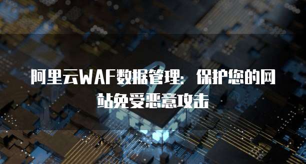 阿里云WAF数据管理:保护您的网站免受恶意攻击