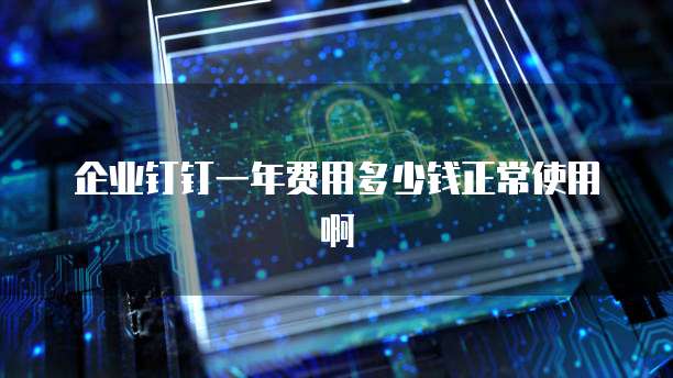 企业钉钉一年费用多少钱正常使用啊