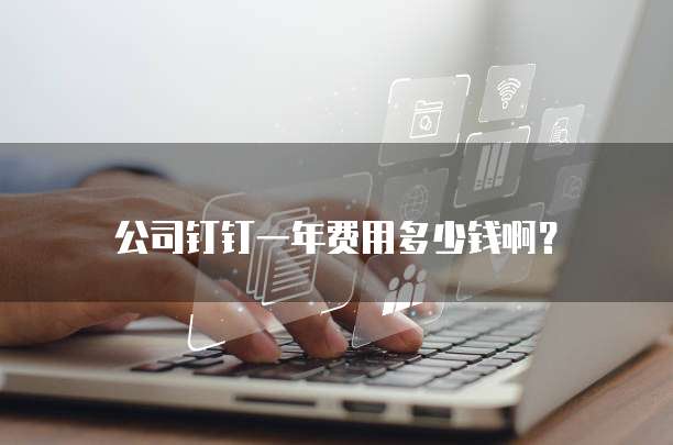 公司钉钉一年费用多少钱啊？