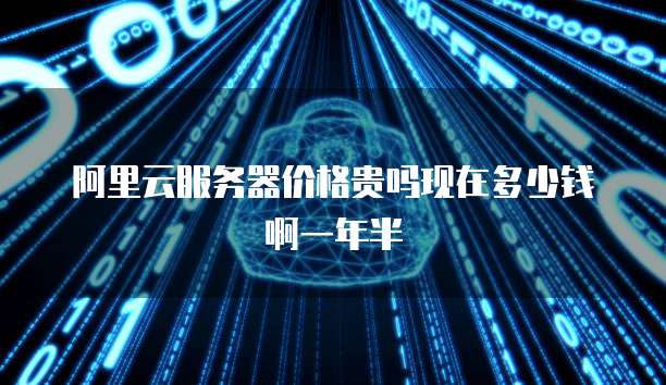 阿里云服务器价格贵吗现在多少钱啊一年半
