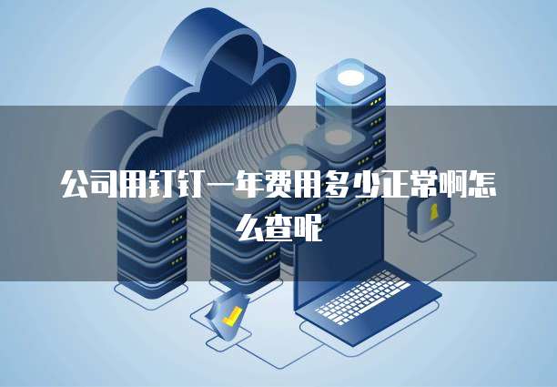 公司用钉钉一年费用多少正常啊怎么查呢