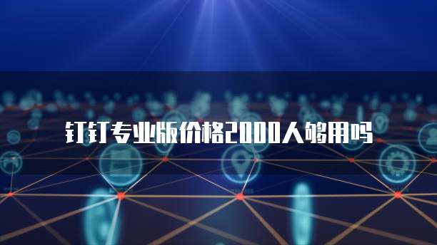 钉钉专业版价格2000人够用吗