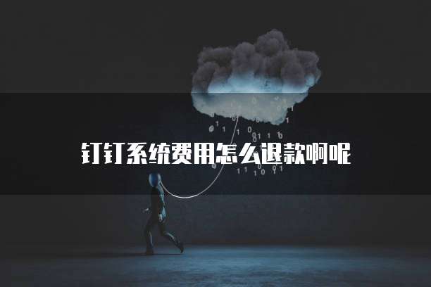 钉钉系统费用怎么退款啊呢
