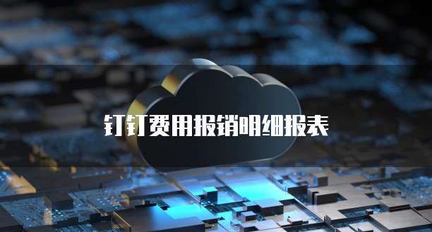钉钉费用报销明细报表