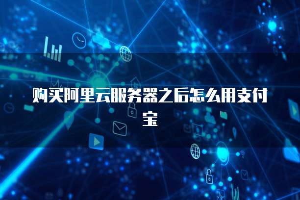 购买阿里云服务器之后怎么用支付宝