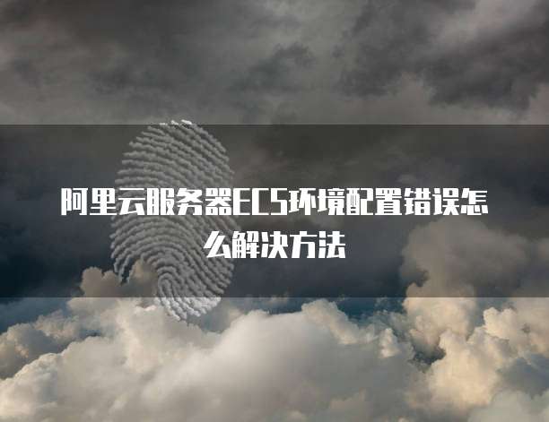 阿里云服务器ECS环境配置错误怎么解决方法