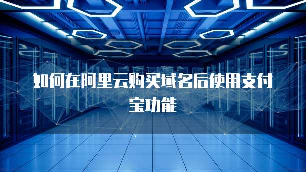 如何在阿里云购买域名后使用支付宝功能