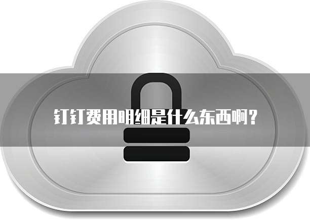 钉钉费用明细是什么东西啊?