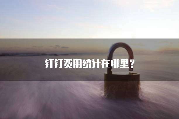 钉钉费用统计在哪里？