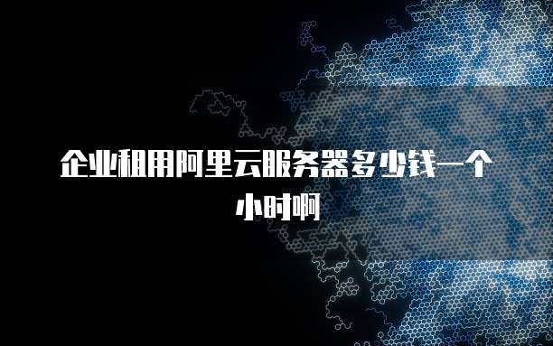 企业租用阿里云服务器多少钱一个小时啊