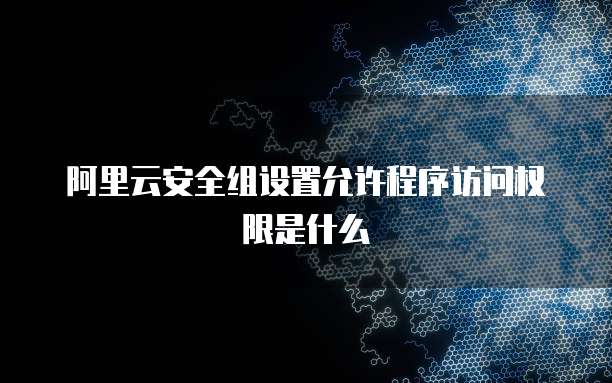 阿里云安全组设置允许程序访问权限是什么