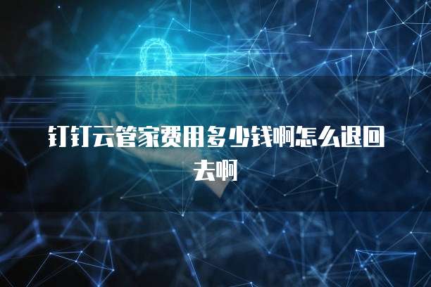 钉钉云管家费用多少钱啊怎么退回去啊