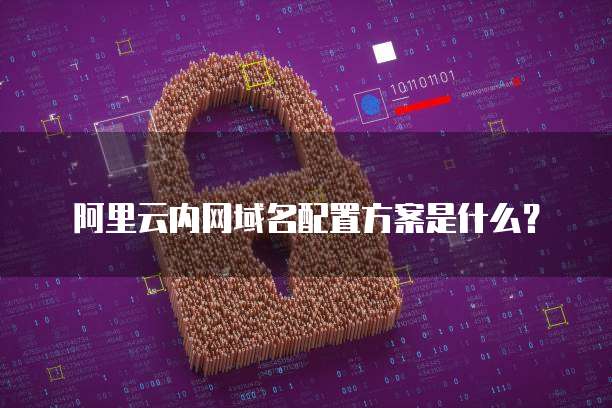 阿里云内网域名配置方案是什么？