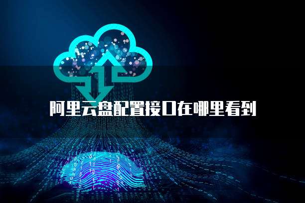 阿里云盘配置接口在哪里看到
