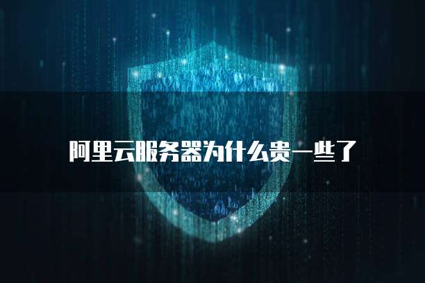 阿里云服务器为什么贵一些了