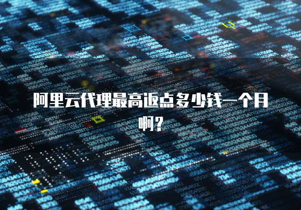 阿里云代理最高返点多少钱一个月啊?
