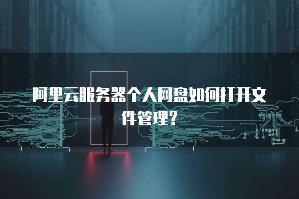 阿里云服务器个人网盘如何打开文件管理?