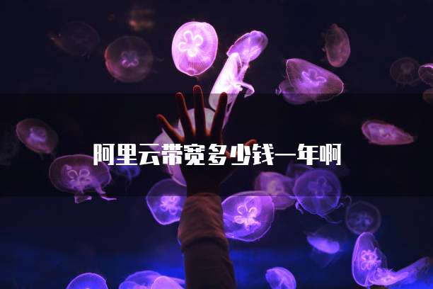 阿里云带宽多少钱一年啊