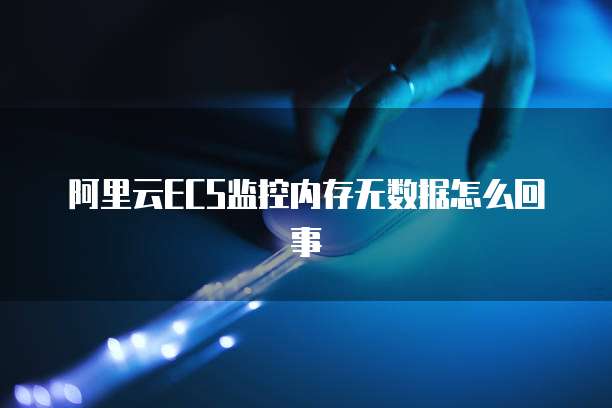 阿里云ECS监控内存无数据怎么回事