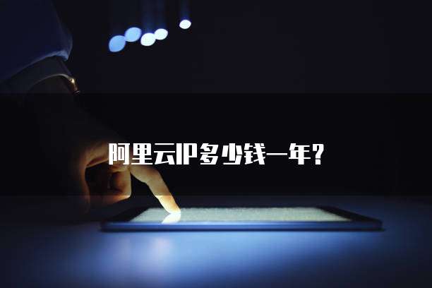 阿里云IP多少钱一年?