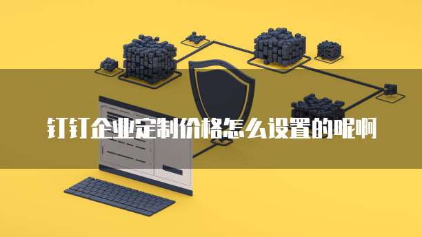 钉钉企业定制价格怎么设置的呢啊