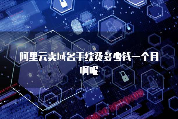 阿里云卖域名手续费多少钱一个月啊呢