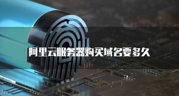 阿里云服务器购买域名要多久
