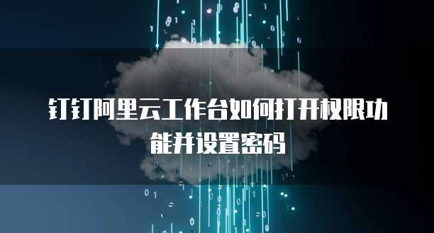 钉钉阿里云工作台如何打开权限功能并设置密码