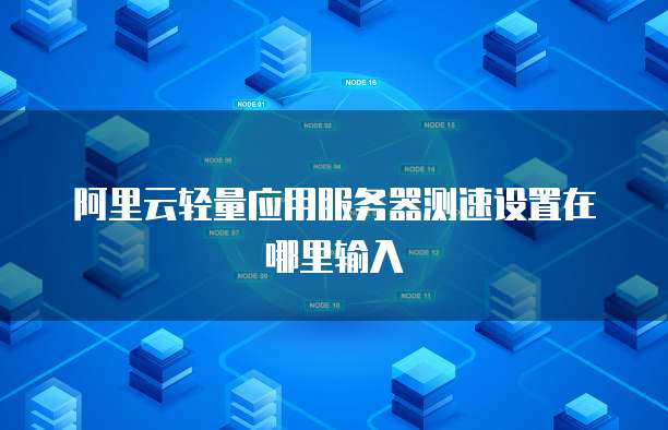 阿里云轻量应用服务器测速设置在哪里输入