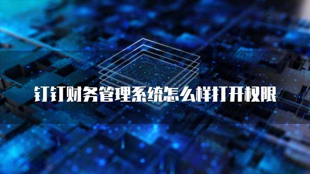 钉钉财务管理系统怎么样打开权限