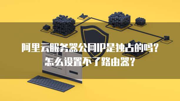 阿里云服务器公网IP是独占的吗?怎么设置不了路由器?