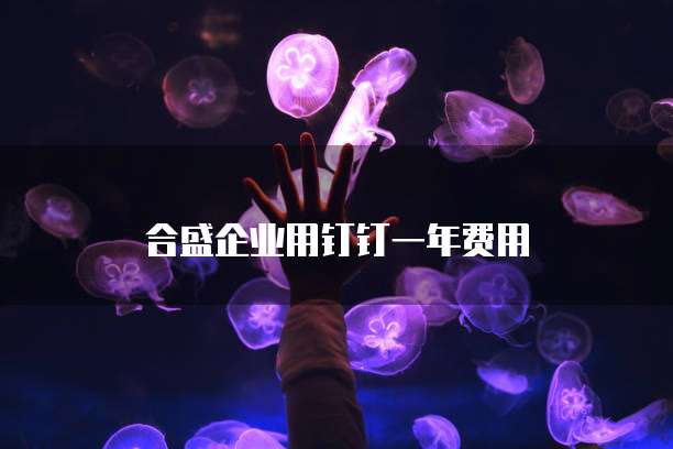 合盛企业用钉钉一年费用
