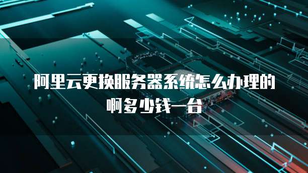 阿里云更换服务器系统怎么办理的啊多少钱一台