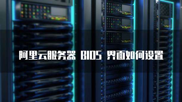 阿里云服务器 BIOS 界面如何设置