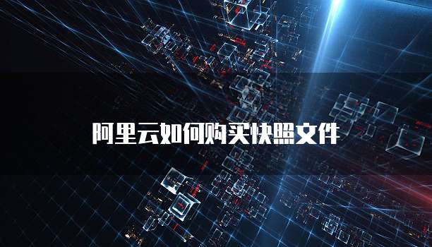 阿里云如何购买快照文件