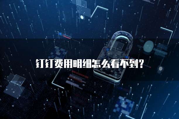 钉钉费用明细怎么看不到？