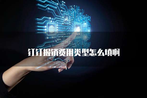 钉钉报销费用类型怎么填啊