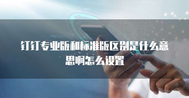 钉钉专业版和标准版区别是什么意思啊怎么设置